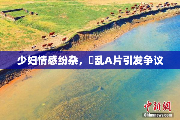 少妇情感纷杂，婬乱A片引发争议