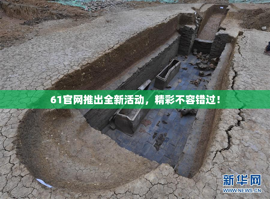 61官网推出全新活动，精彩不容错过！