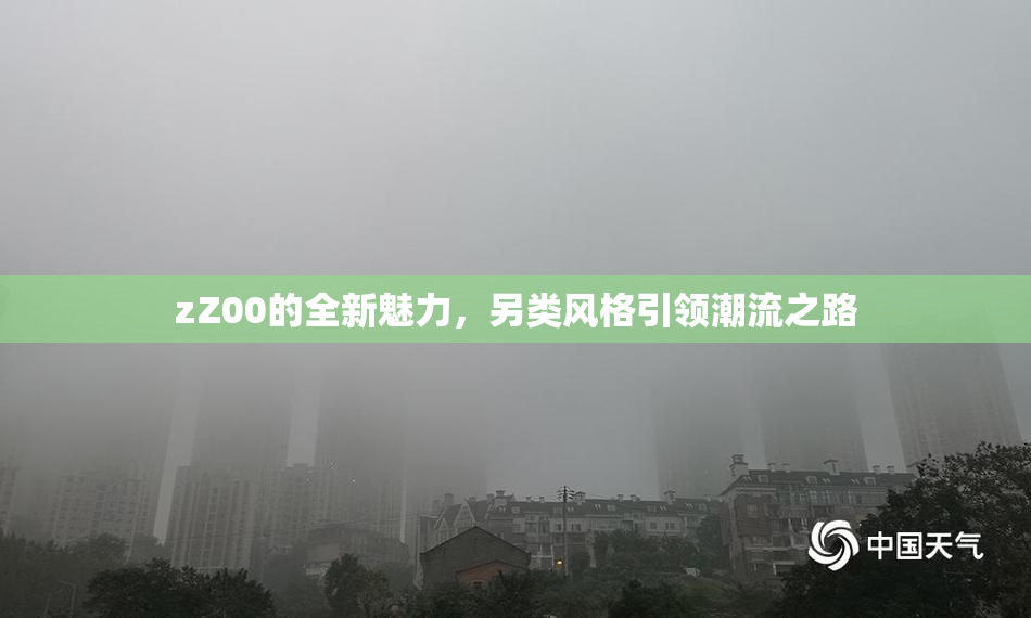 zZ00的全新魅力，另类风格引领潮流之路