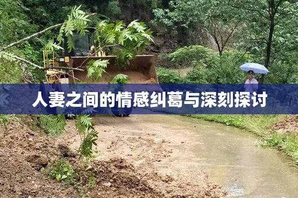 人妻之间的情感纠葛与深刻探讨
