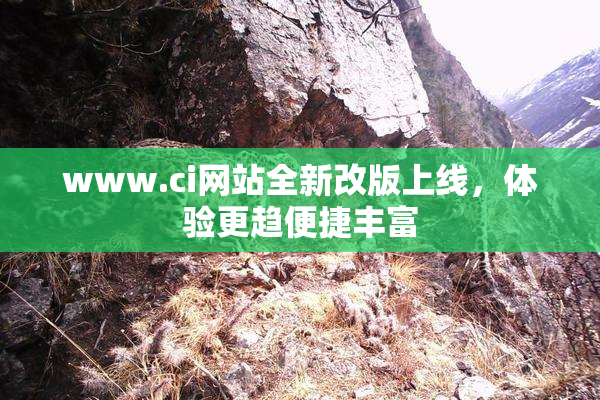 www.ci网站全新改版上线，体验更趋便捷丰富