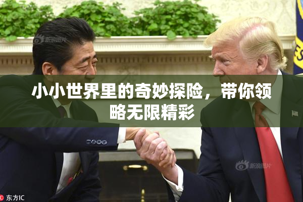小小世界里的奇妙探险，带你领略无限精彩