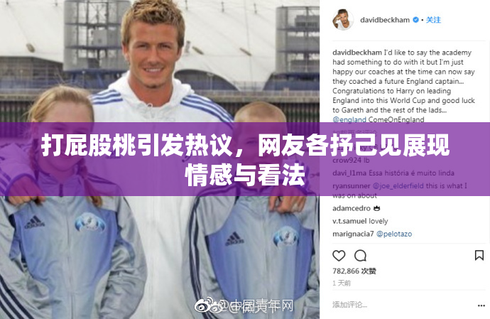 打屁股桃引发热议，网友各抒己见展现情感与看法