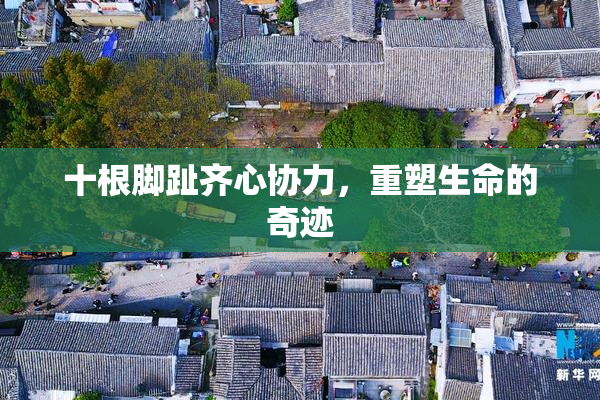 十根脚趾齐心协力，重塑生命的奇迹