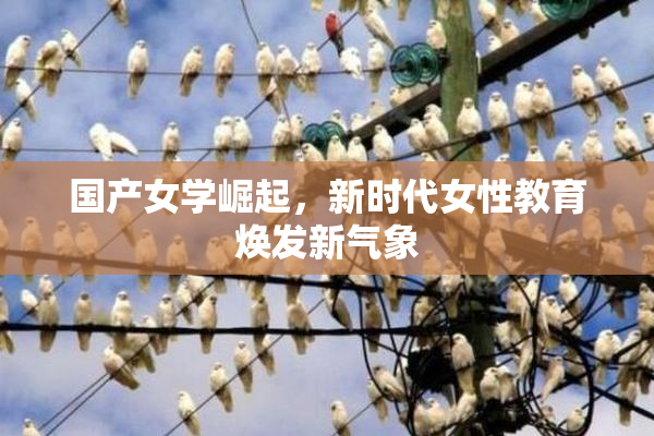国产女学崛起，新时代女性教育焕发新气象