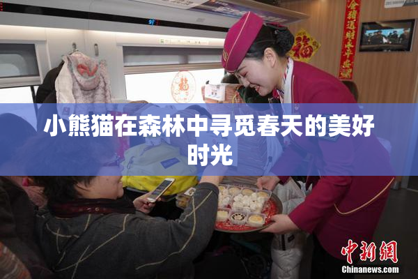 小熊猫在森林中寻觅春天的美好时光