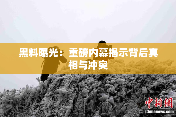 黑料曝光：重磅内幕揭示背后真相与冲突