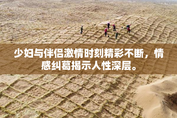 少妇与伴侣激情时刻精彩不断，情感纠葛揭示人性深层。