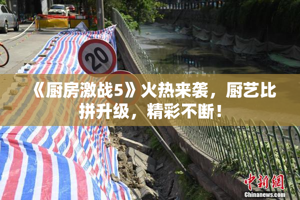 《厨房激战5》火热来袭，厨艺比拼升级，精彩不断！