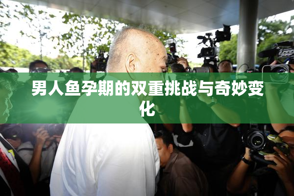 男人鱼孕期的双重挑战与奇妙变化