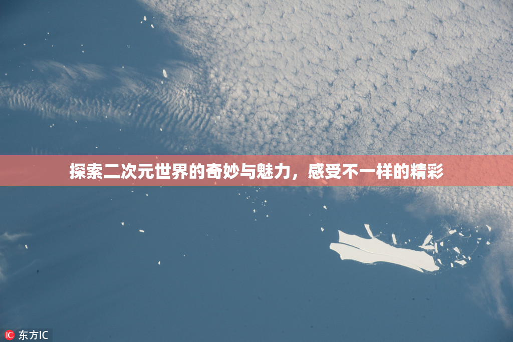 探索二次元世界的奇妙与魅力，感受不一样的精彩