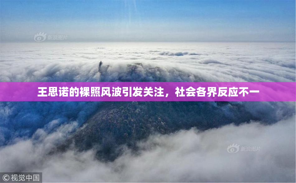 王思诺的裸照风波引发关注，社会各界反应不一