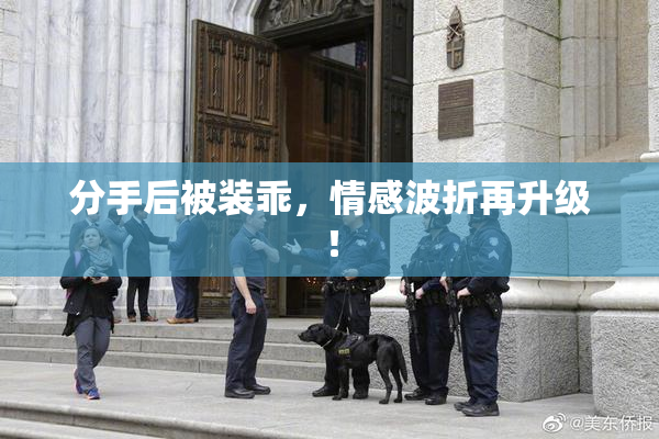 分手后被装乖，情感波折再升级！