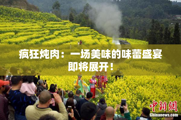 疯狂炖肉：一场美味的味蕾盛宴即将展开！
