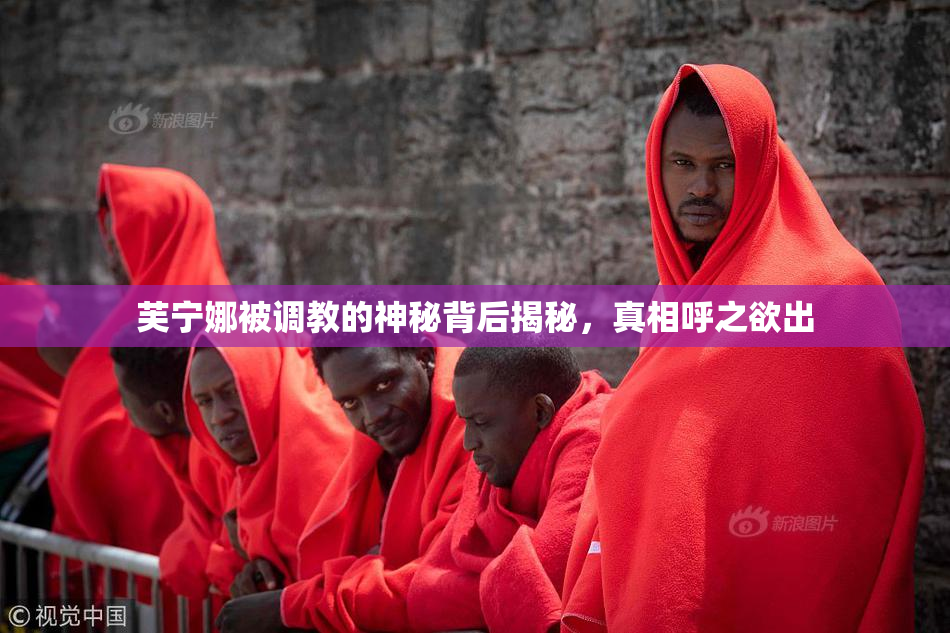 芙宁娜被调教的神秘背后揭秘，真相呼之欲出