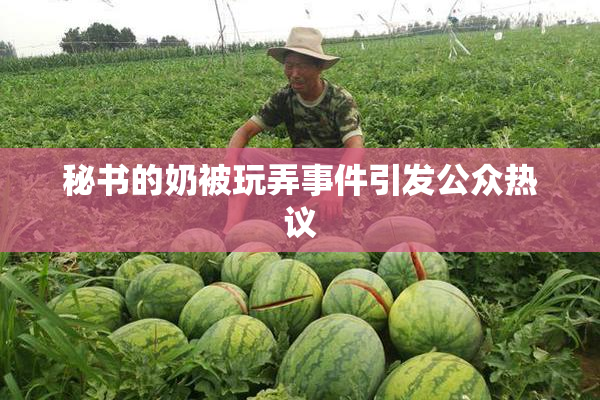 秘书的奶被玩弄事件引发公众热议