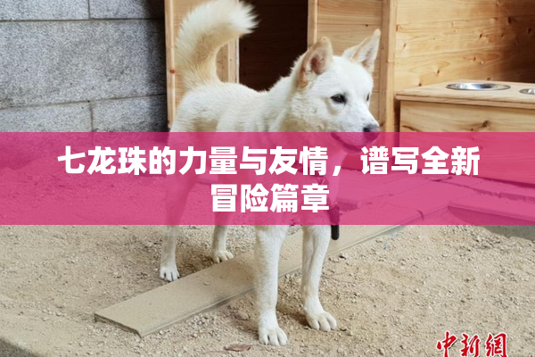七龙珠的力量与友情，谱写全新冒险篇章
