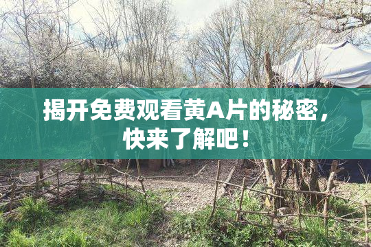 揭开免费观看黄A片的秘密，快来了解吧！