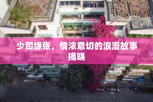 少司缘张，情浓意切的浪漫故事揭晓