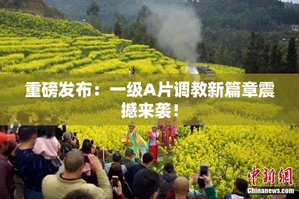 重磅发布：一级A片调教新篇章震撼来袭！