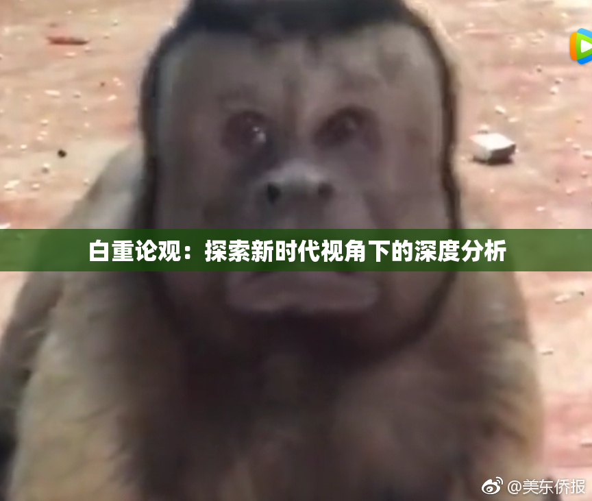 白重论观：探索新时代视角下的深度分析