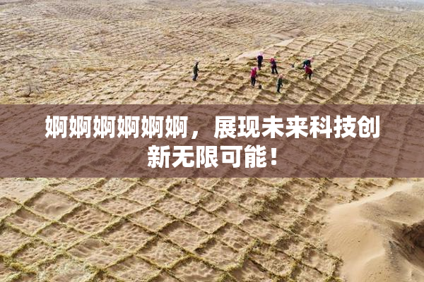 婀婀婀婀婀婀，展现未来科技创新无限可能！