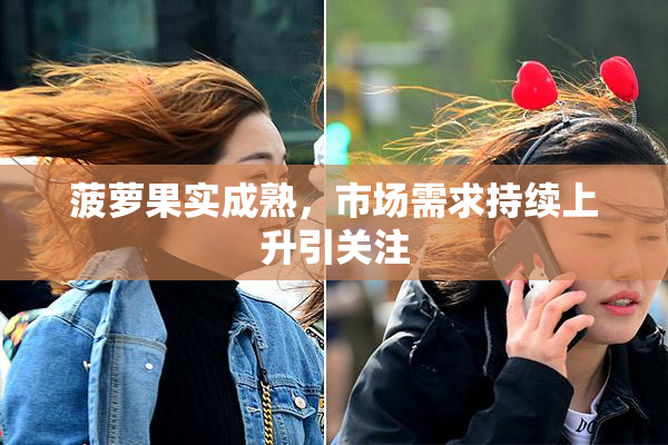 菠萝果实成熟，市场需求持续上升引关注
