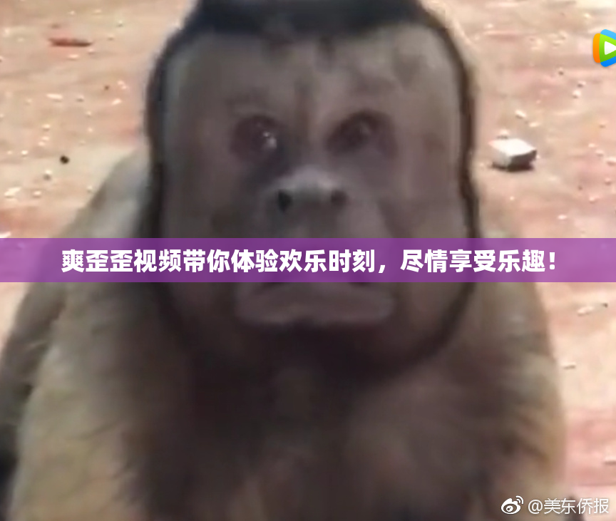 爽歪歪视频带你体验欢乐时刻，尽情享受乐趣！
