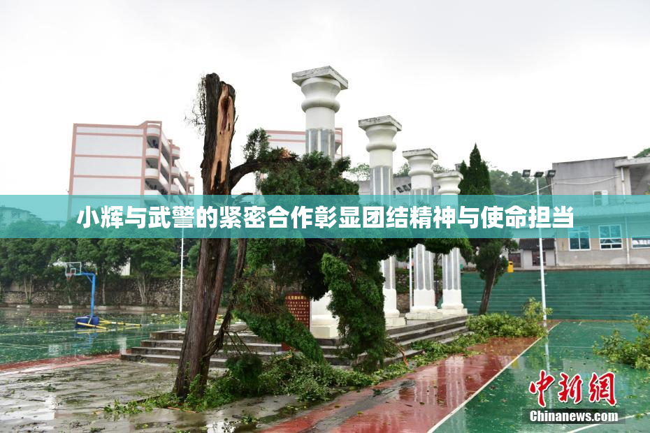 小辉与武警的紧密合作彰显团结精神与使命担当