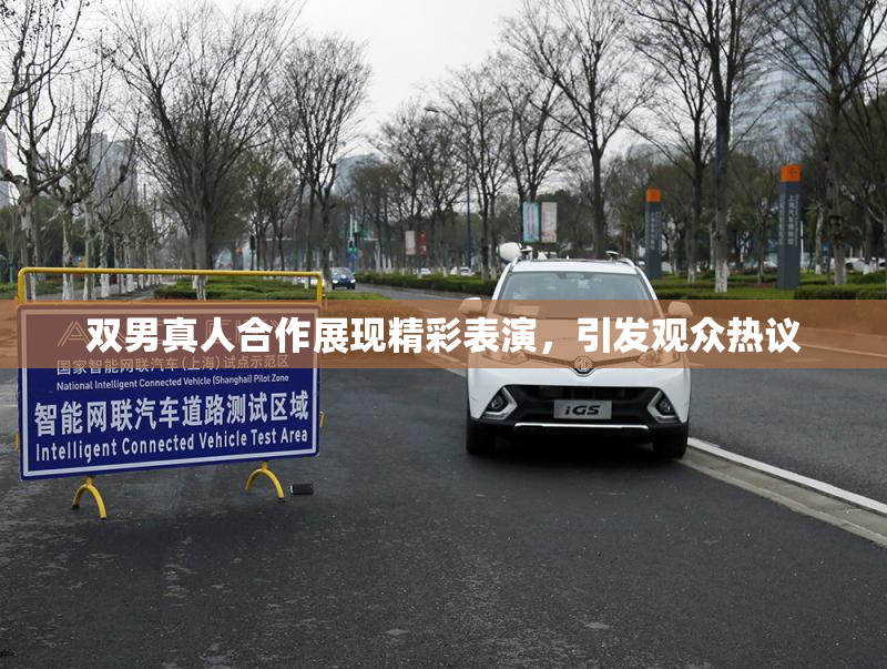 双男真人合作展现精彩表演，引发观众热议
