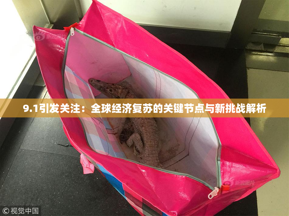 9.1引发关注：全球经济复苏的关键节点与新挑战解析