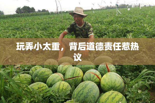 玩弄小太重，背后道德责任惹热议
