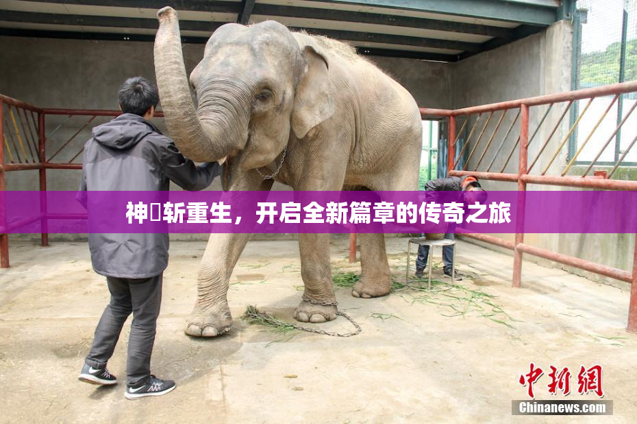 神婬斩重生，开启全新篇章的传奇之旅