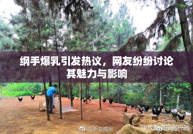 纲手爆乳引发热议，网友纷纷讨论其魅力与影响