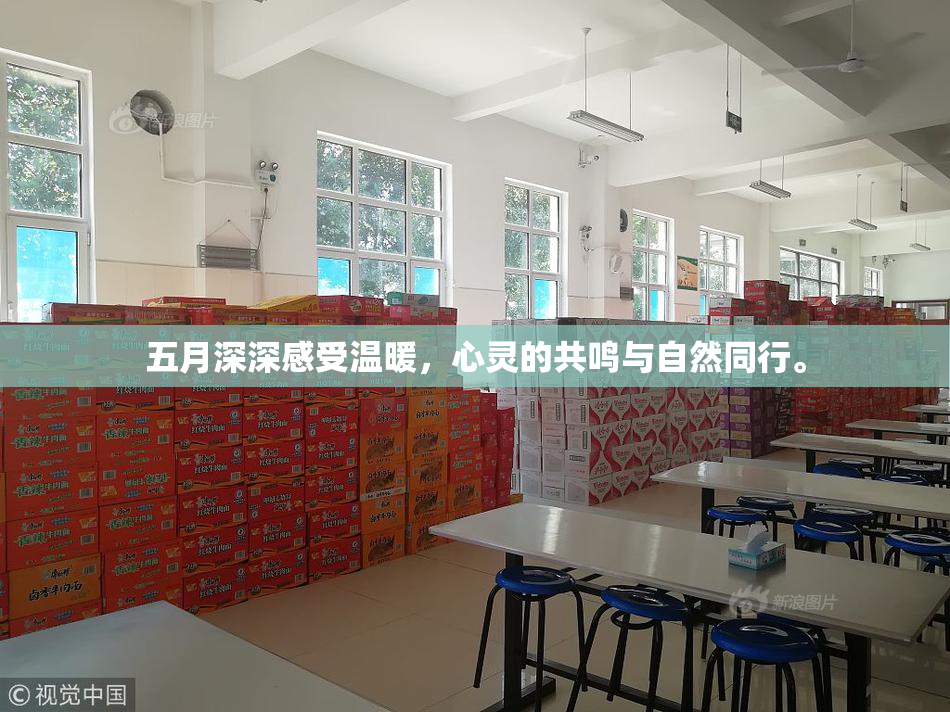 五月深深感受温暖，心灵的共鸣与自然同行。