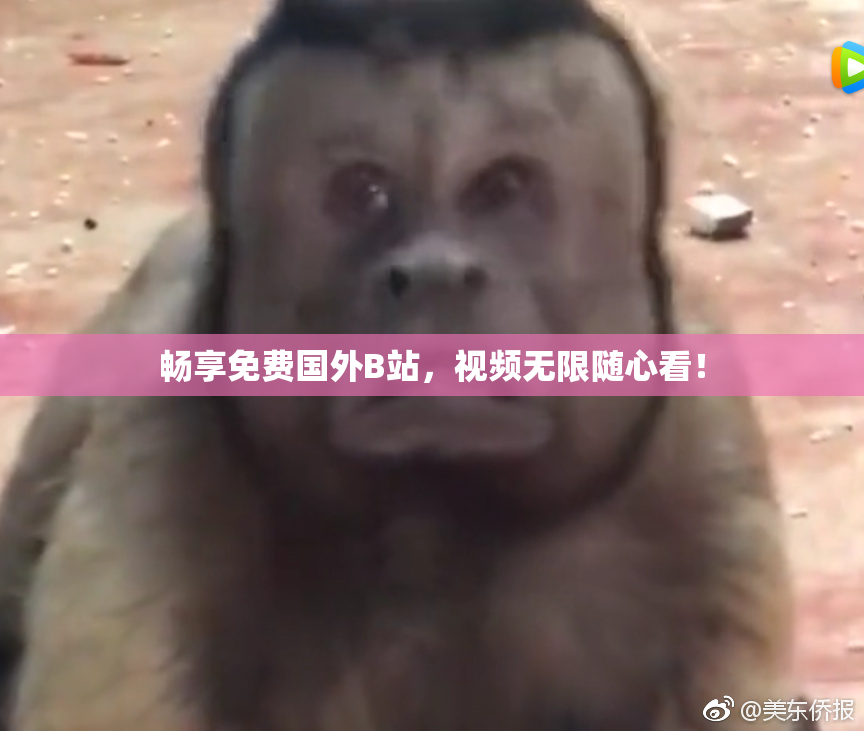 畅享免费国外B站，视频无限随心看！