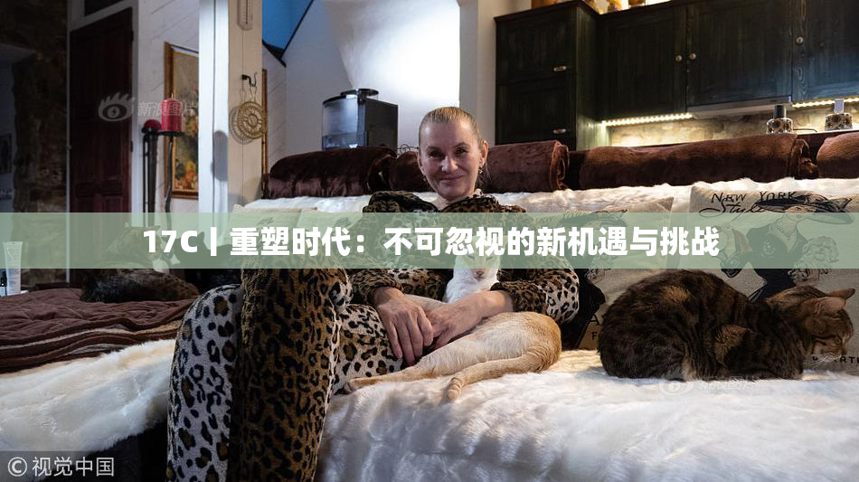 17C丨重塑时代：不可忽视的新机遇与挑战