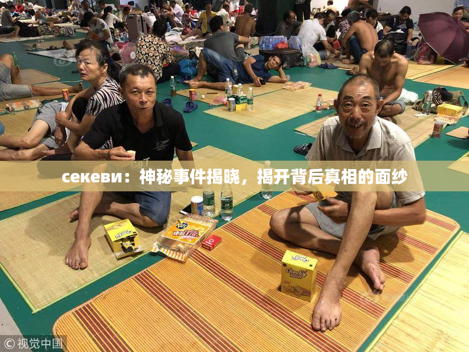 ceкеви：神秘事件揭晓，揭开背后真相的面纱