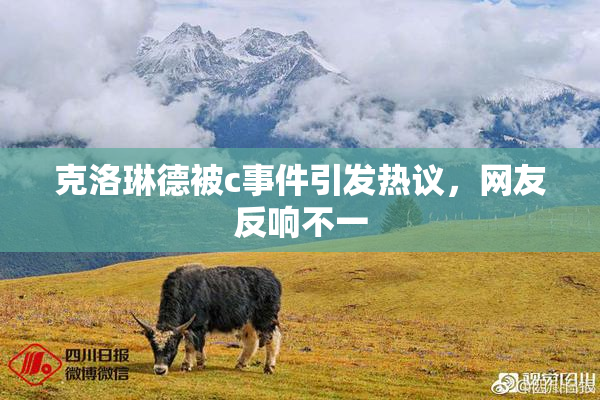 克洛琳德被c事件引发热议，网友反响不一