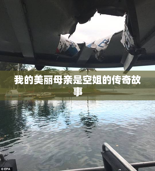 我的美丽母亲是空姐的传奇故事