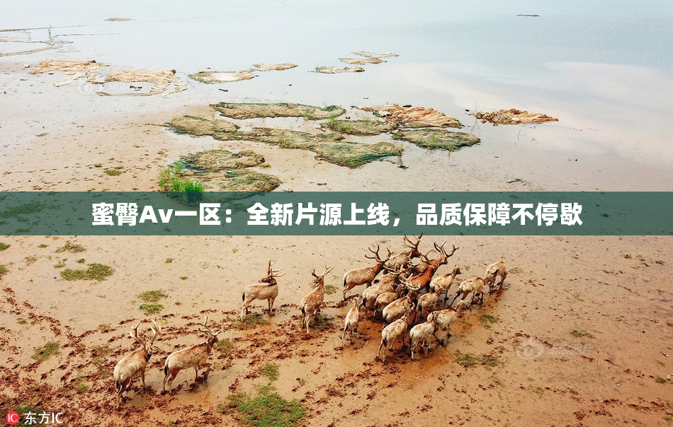 蜜臀Av一区：全新片源上线，品质保障不停歇
