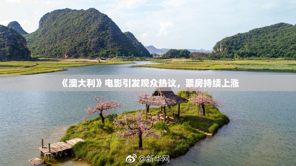 《澳大利》电影引发观众热议，票房持续上涨