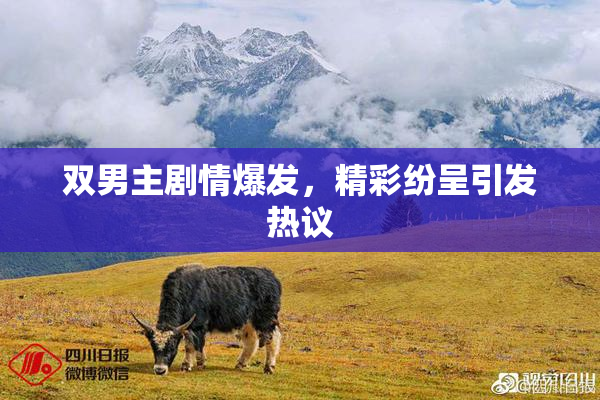 双男主剧情爆发，精彩纷呈引发热议