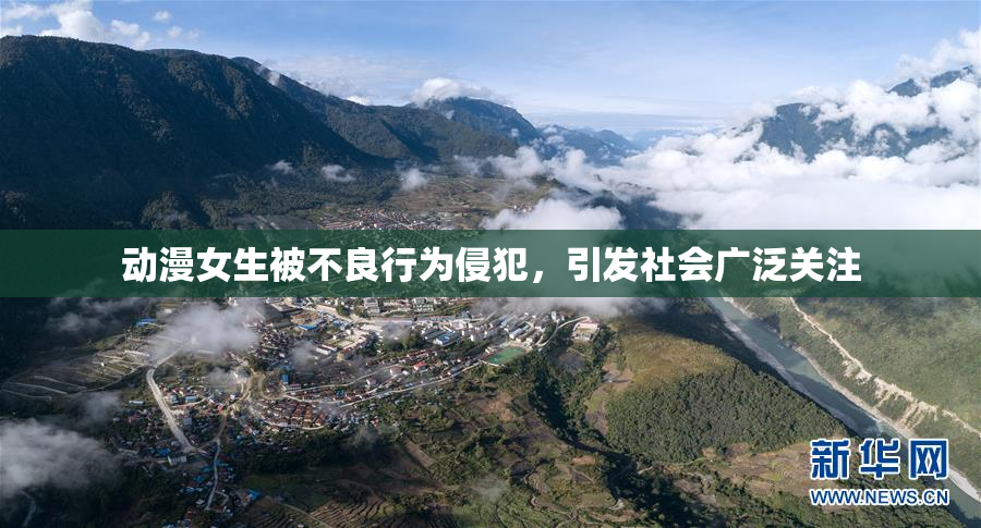 动漫女生被不良行为侵犯，引发社会广泛关注