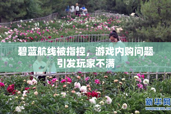 碧蓝航线被指控，游戏内购问题引发玩家不满