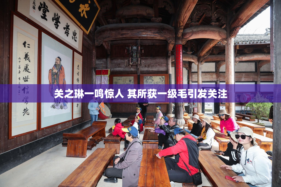 关之琳一鸣惊人 其所获一级毛引发关注