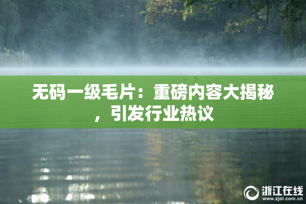无码一级毛片：重磅内容大揭秘，引发行业热议