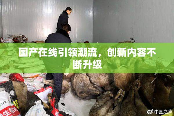 国产在线引领潮流，创新内容不断升级