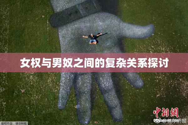 女权与男奴之间的复杂关系探讨