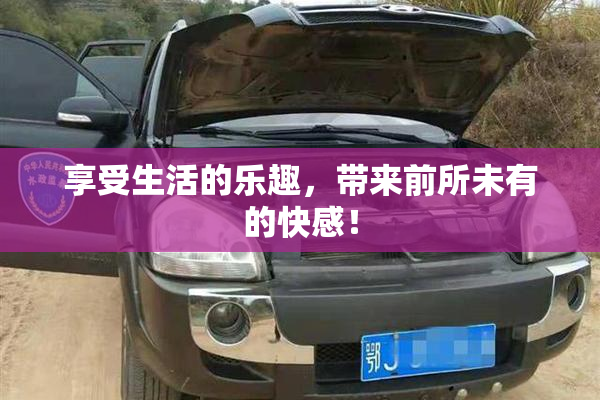 享受生活的乐趣，带来前所未有的快感！
